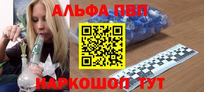 стаф Шебекино