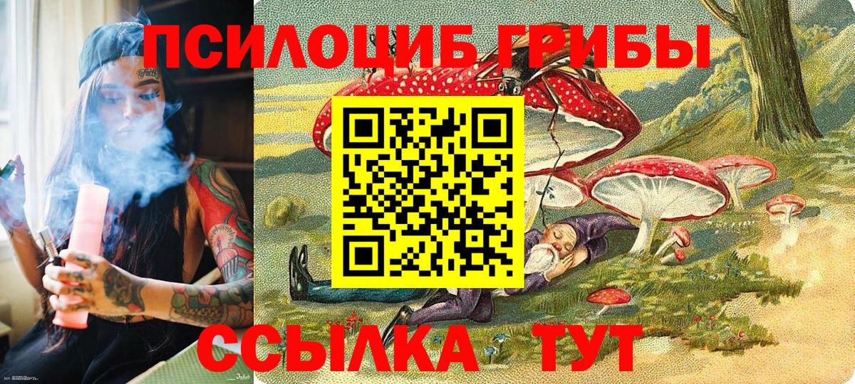 Тамбов  цена   Псилоцибиновые грибы мухоморы  Вход с VPN  Галлюциногенные грибы мицелий 